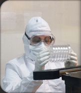 Proceso de Producción Proceso de Producción